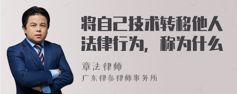 将自己技术转移他人法律行为，称为什么