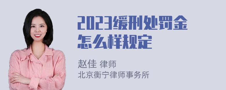 2023缓刑处罚金怎么样规定