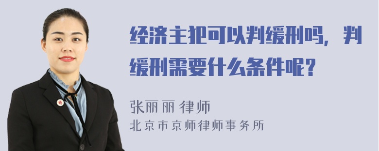 经济主犯可以判缓刑吗，判缓刑需要什么条件呢？