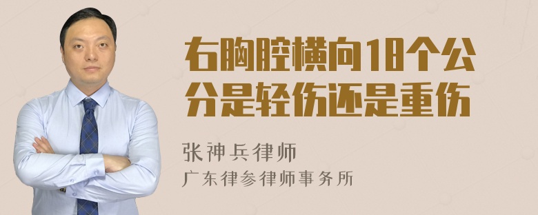 右胸腔横向18个公分是轻伤还是重伤