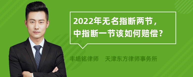 2022年无名指断两节，中指断一节该如何赔偿？