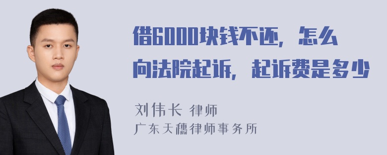 借6000块钱不还，怎么向法院起诉，起诉费是多少