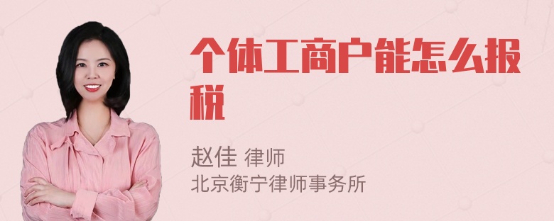 个体工商户能怎么报税