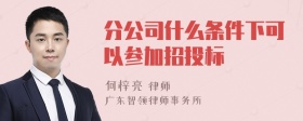 分公司什么条件下可以参加招投标