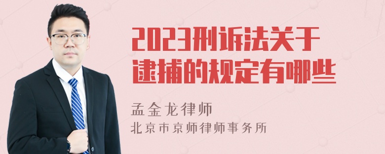 2023刑诉法关于逮捕的规定有哪些