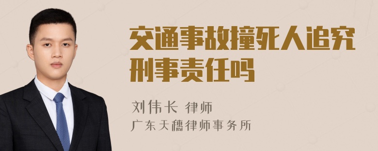 交通事故撞死人追究刑事责任吗