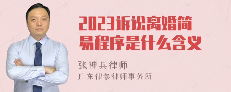 2023诉讼离婚简易程序是什么含义