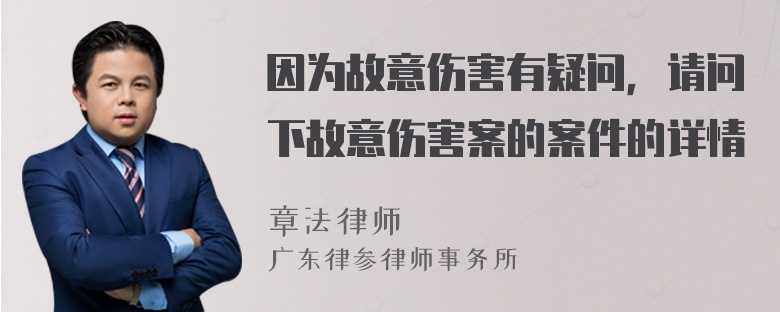 因为故意伤害有疑问，请问下故意伤害案的案件的详情