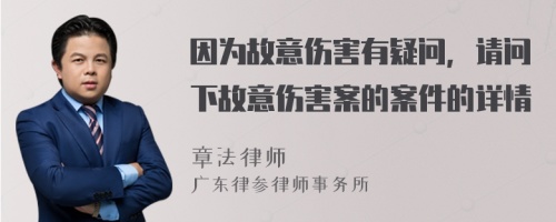 因为故意伤害有疑问，请问下故意伤害案的案件的详情