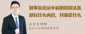 刑事诉讼法中减刑假释法条都有什么内容，具体是什么