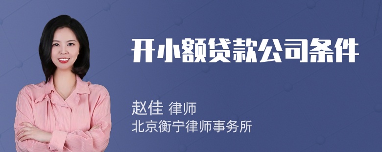 开小额贷款公司条件