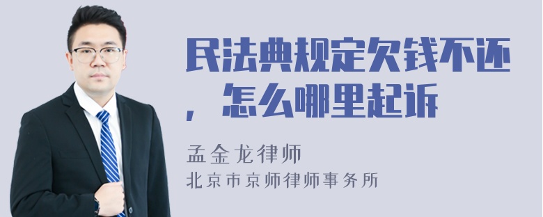 民法典规定欠钱不还，怎么哪里起诉