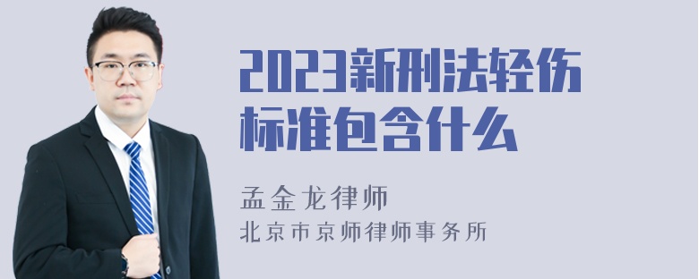 2023新刑法轻伤标准包含什么