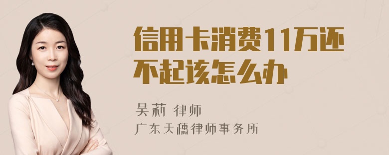 信用卡消费11万还不起该怎么办