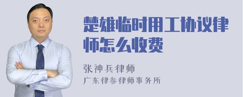 楚雄临时用工协议律师怎么收费