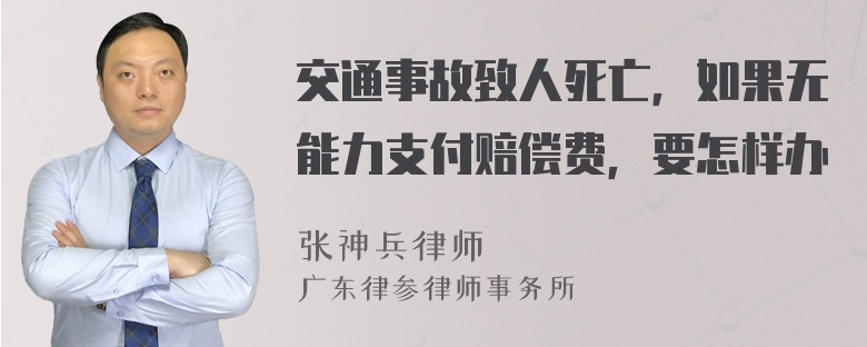 交通事故致人死亡，如果无能力支付赔偿费，要怎样办