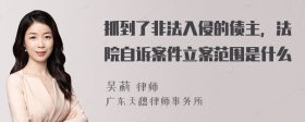 抓到了非法入侵的债主，法院自诉案件立案范围是什么