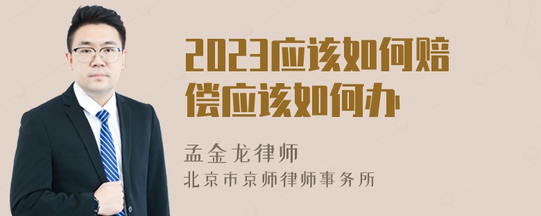 2023应该如何赔偿应该如何办
