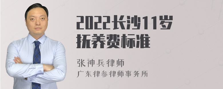 2022长沙11岁抚养费标准