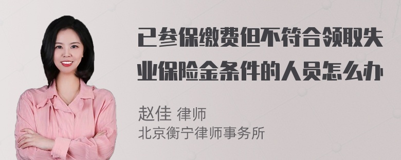 已参保缴费但不符合领取失业保险金条件的人员怎么办