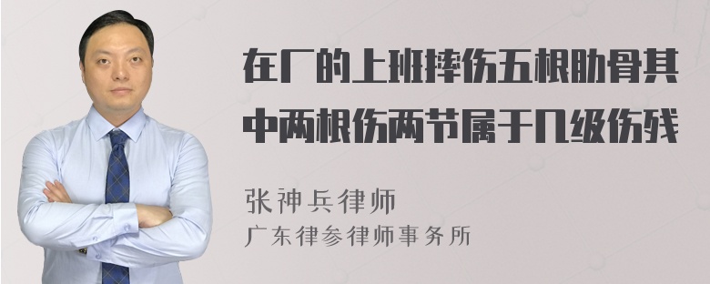 在厂的上班摔伤五根肋骨其中两根伤两节属于几级伤残