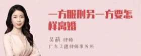 一方服刑另一方要怎样离婚