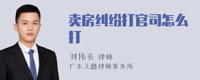 卖房纠纷打官司怎么打