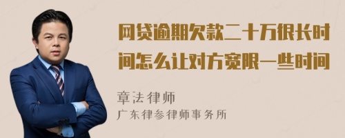 网贷逾期欠款二十万很长时间怎么让对方宽限一些时间