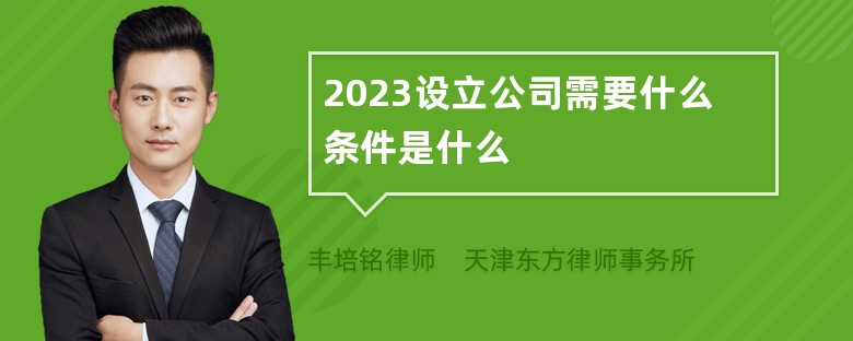 2023设立公司需要什么条件是什么