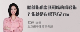 脸部伤痕多长可以构成轻伤？伤处是左眼下方2cm