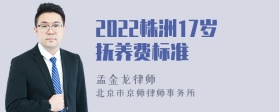 2022株洲17岁抚养费标准