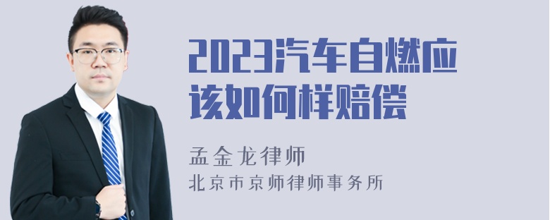 2023汽车自燃应该如何样赔偿