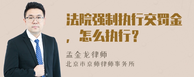 法院强制执行交罚金，怎么执行？