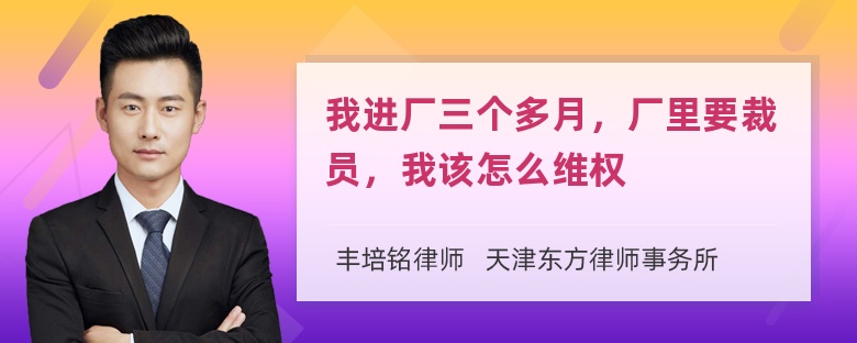 我进厂三个多月，厂里要裁员，我该怎么维权