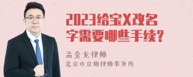 2023给宝X改名字需要哪些手续？