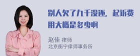 别人欠了九千没还，起诉费用大概是多少啊