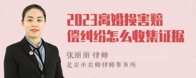 2023离婚损害赔偿纠纷怎么收集证据