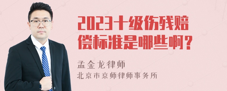 2023十级伤残赔偿标准是哪些啊？