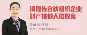 俩原告合伙组织企业财产被他人侵权案