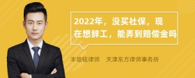 2022年，没买社保，现在想辞工，能弄到赔偿金吗