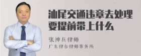 汕尾交通违章去处理要提前带上什么