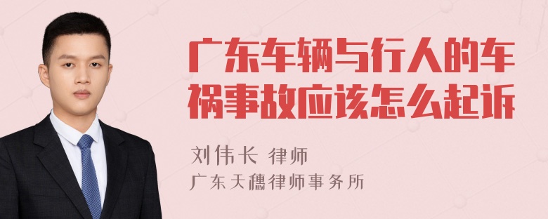 广东车辆与行人的车祸事故应该怎么起诉