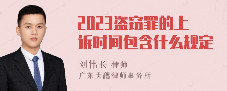 2023盗窃罪的上诉时间包含什么规定