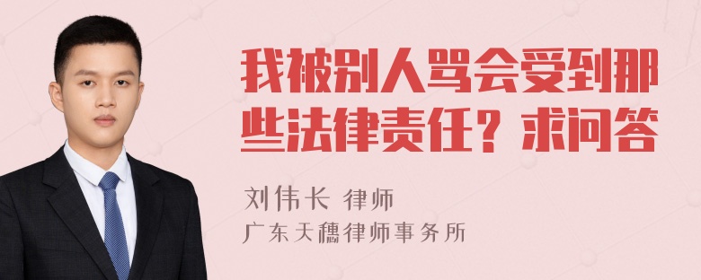 我被别人骂会受到那些法律责任？求问答