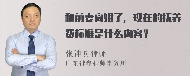 和前妻离婚了，现在的抚养费标准是什么内容？