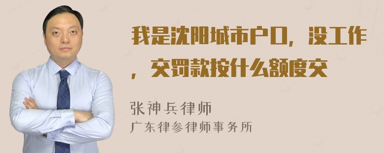 我是沈阳城市户口，没工作，交罚款按什么额度交