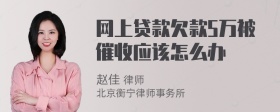 网上贷款欠款5万被催收应该怎么办