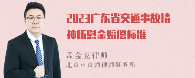 2023广东省交通事故精神抚慰金赔偿标准