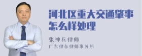 河北区重大交通肇事怎么样处理