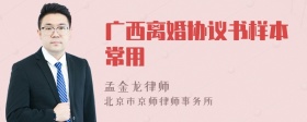 广西离婚协议书样本常用